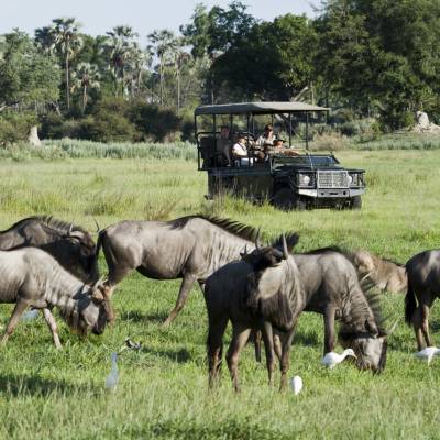 5 Tage Okavango & Moremi Luxus Flugsafari